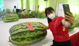 起点吃瓜的人,人生百味尽在其中