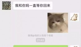 吃瓜群聊名称搞笑霸气,群聊风云，笑料横飞，霸气侧漏