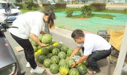 英国吃瓜两个人吃瓜视频,甜蜜互动引网友热议