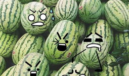 每日聪明吃瓜视频,聪明解析热门事件，带你轻松看懂娱乐圈风云