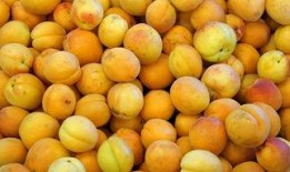 吃黄桃瓜,美味与营养的完美融合