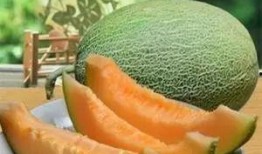 徐州吃哈密瓜,哈密瓜的甜蜜邂逅