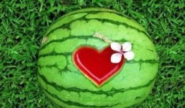 带你吃瓜技能,带你领略娱乐圈的“瓜田”盛景