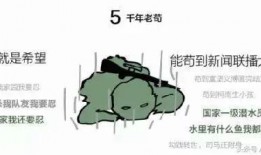 夸哥带你吃瓜,畅游吃瓜盛宴