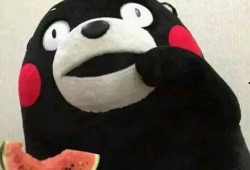 网络上有哪些吃瓜,盘点热门事件，揭秘幕后真相