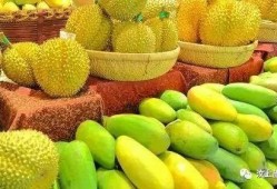 汶上李尔吃瓜,瓜田里的传奇故事