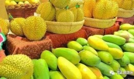 汶上李尔吃瓜,瓜田里的传奇故事