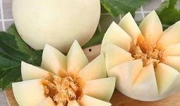 衡阳吃瓜事情,揭秘网络舆论背后的真相与反思