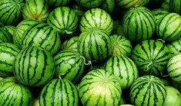 QQ优质吃瓜群推荐,热门话题一网打尽，畅享网络娱乐盛宴