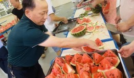 青岛技师吃瓜,吃瓜瞬间成网红，揭秘瓜界新势力