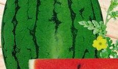 商丘宁陵吃瓜,夏日吃瓜盛宴，品味乡村休闲生活