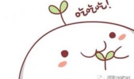 吃瓜大白温颜后续,揭秘娱乐圈背后的情感纠葛