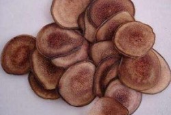 吃鹿茸片可以吃蒲瓜吗,食用搭配指南